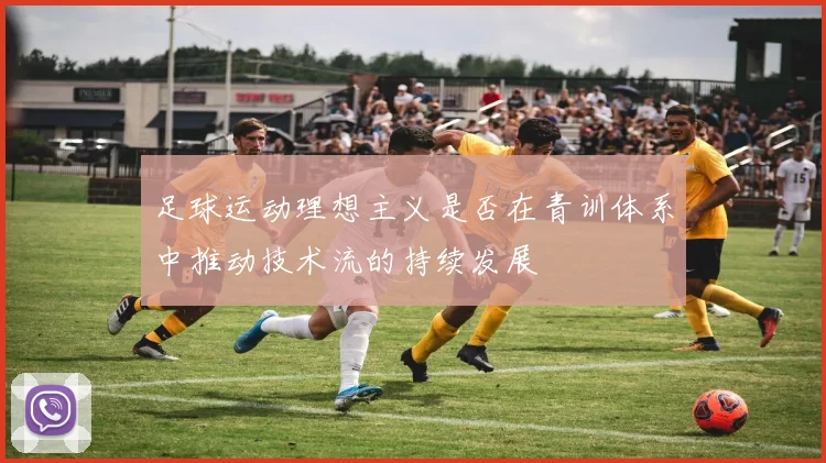 足球运动理想主义是否在青训体系中推动技术流的持续发展